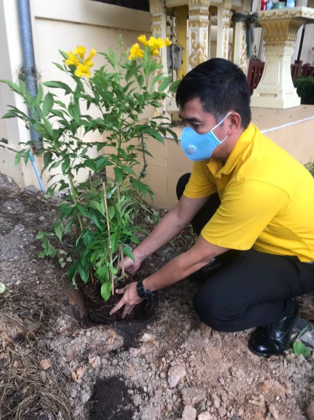 ﻿สำนักงานบังคับคดีจังหวัดชลบุรี สาขาพัทยา จัดกิจกรรมปลูกต้นไม้ประจำปีของชาติ